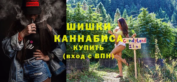 дурь Алзамай